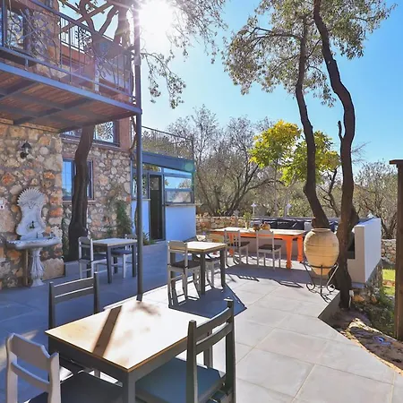 Lodge Kale - Adult Only + 15 Kas