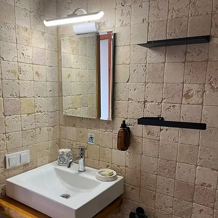 Lodge Kale - Adult Only + 15 *